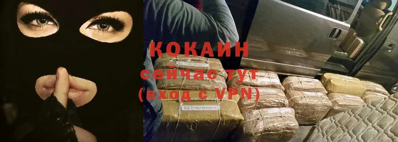 Cocaine FishScale  купить закладку  omg онион  Лагань 